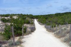 5-pic06