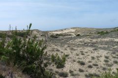 5-pic07