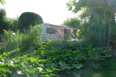 7-pic19