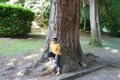 8-pic07