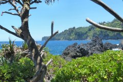 USA-Hawaii-Hamakua-Coast-pic03