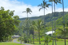 USA-Hawaii-Hamakua-Coast-pic04