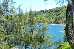 USA-Hawaii-Hamakua-Coast-pic05