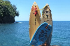 USA-Hawaii-Hamakua-Coast-pic08