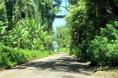 USA-Hawaii-Hamakua-Coast-pic12