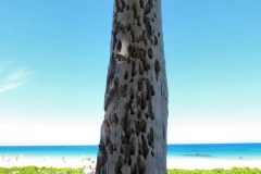 USA-Hawaii-Hapuna-Beach-pic05