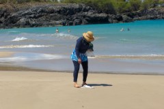 USA-Hawaii-Hapuna-Beach-pic08