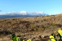 USA-Hawaii-Hapuna-Beach1-pic05