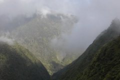 1_pic01