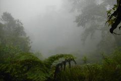 1_pic05