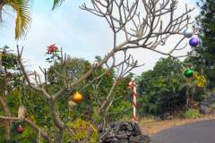 2_pic05