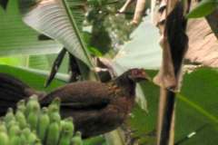 2_pic08