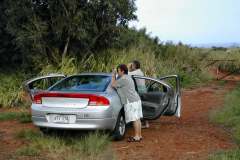 4_pic03