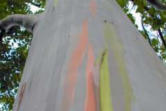 4_pic04