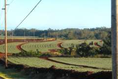 7_pic02