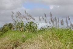 pic06-1059687583