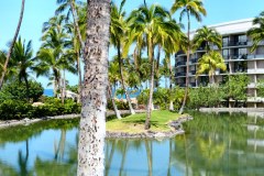 USA-Hawaii-Hilton-Waikoloa-pic04