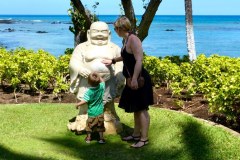 USA-Hawaii-Hilton-Waikoloa-pic07