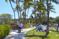USA-Hawaii-Hilton-Waikoloa-pic11