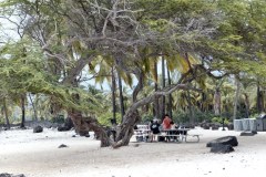 USA-Hawaii-Kealakekua-Bay-pic11