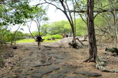USA-Hawaii-Kealakekua-Bay-pic21