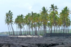 USA-Hawaii-Kealakekua-Bay-pic24
