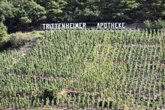4-bild12