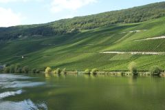 4-bild15