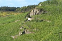 4-bild19