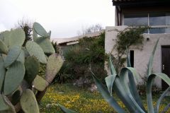 pic07