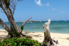 USA-Hawaii-Oahu-North-Shore-pic11