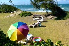 USA-Hawaii-Pacific-Garden-Playground-01pic