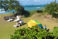 USA-Hawaii-Pacific-Garden-Playground-03pic