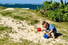 USA-Hawaii-Pacific-Garden-Playground-05pic