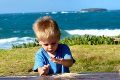 USA-Hawaii-Pacific-Garden-Playground-06pic
