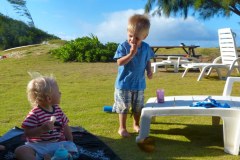 USA-Hawaii-Pacific-Garden-Playground-07pic