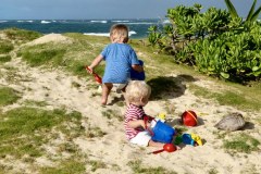 USA-Hawaii-Pacific-Garden-Playground-10pic