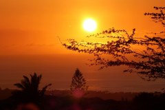 USA-Hawaii-Parker-Ranch-Mauna-Kea-Beach-pic21