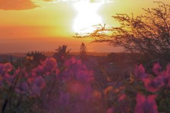 USA-Hawaii-Parker-Ranch-Mauna-Kea-Beach-pic22