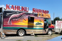 USA-Hawaii-Pearl-Harbour-Laie-pic14