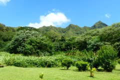 USA-Hawaii-Sandy-Beach-pic01