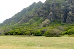 USA-Hawaii-Sandy-Beach-pic12