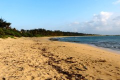 USA-Hawaii-unser-Beachhouse-Laʻie-Oahu-pic11