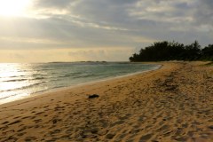 USA-Hawaii-unser-Beachhouse-Laʻie-Oahu-pic12