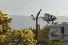 USASouth-Lost-Dutchmann-ApacheJunction-bild4