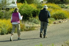 USASouth-Lost-Dutchmann-ApacheJunction-bild5