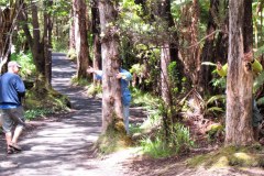 USA-Hawaii-Volcanoes-National-Park-pic10