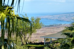 USA-HAwaii-2012-Waikoloa-Konapic01