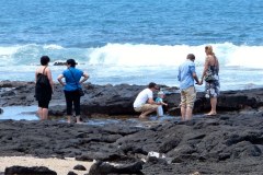 USA-HAwaii-2012-Waikoloa-Konapic09