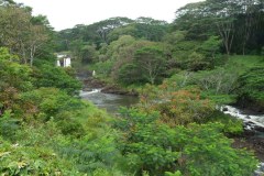 USA-Hawaii-Waikoloa-Hilo-pic07